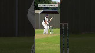 Perfect slower ball ☄️cricket countycricket bowling bowlingtricks [upl. by Annaili]