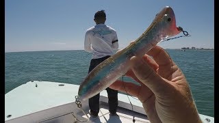 Big Game on Topwater Poppers [upl. by Ellehcyt]