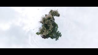 Arnold Arboretum July Smokebush Three LP1 Panorama 360degree 4K [upl. by Jacky]