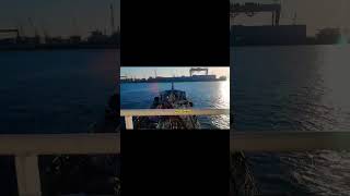 MSC Diletta  shortvideo kapallaut sailingvessel vessel containerships [upl. by Amluz]