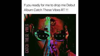 Download Album PnB Rock Catch These Vibes Zip wwwviperial6co [upl. by Missie]