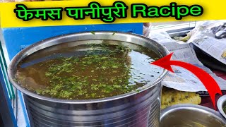 Famous Panipuri Pani Racipe गजब का टेस्ट है । panipuriracipe panipuriwalebhaiya panipuripani [upl. by Enrobso191]