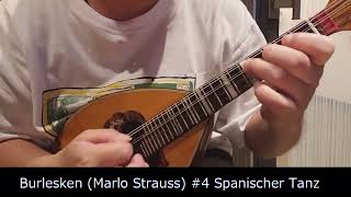 【Mandolin】Burlesken Marlo Strauss “4 Spanischer Tanz” [upl. by Mcnutt284]