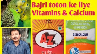 Calcium amp vitamin syrup for Australian parrots  Ostocalcium amp A2Z bajri toton ko kaise dena he [upl. by Nitreb208]