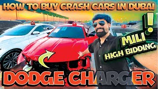 Buying Car From Crash Car Auction  How To Buy Crashed Cars In Dubai  Al Qaryah Car Auction [upl. by Aseral]