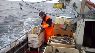 Jigging for cod skrei in Finnmark Norway April 2011  part 3 [upl. by Schoenburg]