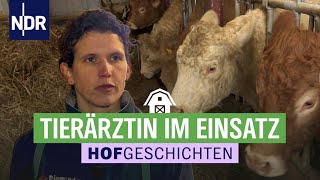 Hoffnung auf Nachwuchs Tierärztin kontrolliert die Kühe  Hofgeschichten Leben auf dem Land 309 [upl. by Ligriv]