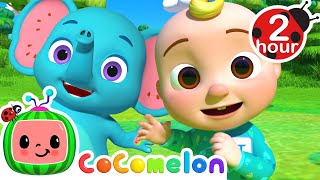 My Name Song  2 HOURS of CoComelon Nursery Rhymes amp Kids Song  Animal Songs For Kids [upl. by Assetal713]