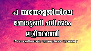 1 botany class photosynthesis in higher plants episode  7 [upl. by Annaiel]