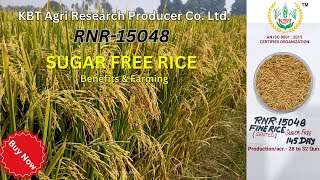 Sugar Free Rice RNR15048  Telangana Sona 15048 rice paddy kbt kbtrice [upl. by Aizitel594]