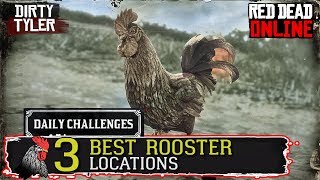 BEST ROOSTER Locations RDR2 Daily Challenges Red Dead Online [upl. by Anos]