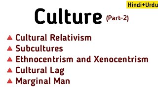 Culture in Sociology Part 2  Subcultures Ethnocentrism  Xenocentrism  Cultural Lag Hindi  Urdu [upl. by Enelrak47]