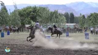 Zaigua  Gauchos y destrezas criollas [upl. by Odraner]