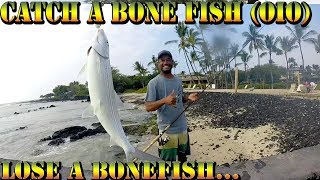 Catching Bone Fish Oio In Hawaii  Big Island Hawaii Fishing Video  Braddahs On Da Shore  52 [upl. by Girish]