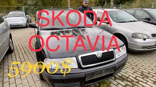 Skoda Octavia Tourлучшая альтернатива VW Golf [upl. by Ueih]