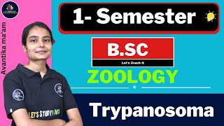 Trypanosoma  BSc Zoology 1st Semester  Avantika Maam [upl. by Edy284]