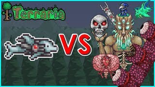 Terraria  SDMG vs All Bosses [upl. by Rolyab700]