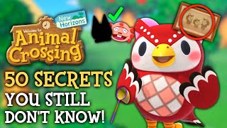 50 SECRETS You STILL Dont Know  Animal Crossing New Horizons [upl. by Leuneb813]