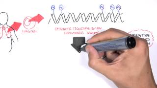 DNA methylation biomarkers  Garvan Institute [upl. by Algar]