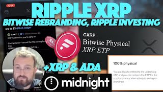 Ripple XRP 100 XRP Allocation Ripple Investing In ETP amp Hoskinson Talks XRP ADA FLR Potential [upl. by Thain]