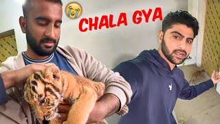 Tiger Ko Wapis kr Dia Reply To Haters [upl. by Atinihc]