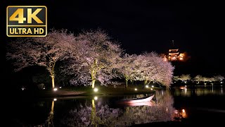 【4K】Sankeien Garden in Yokohama with BGM 2023  Japan Trip（三渓園） [upl. by Gemoets]