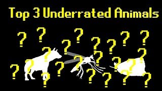 Top 3 Underrated Animals Feat Vsauce3 [upl. by Ennasus]