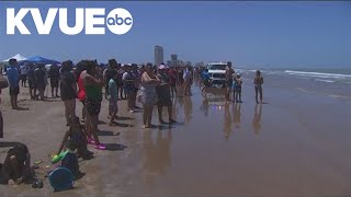 Texas shark attack Beachgoers react after 4 hurt on South Padre Island [upl. by Yrok]