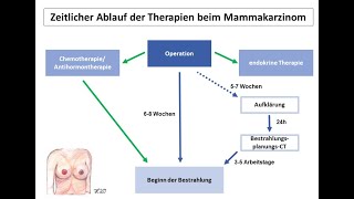 Zeitlicher Verlauf der akuten Nebenwirk bei der RT vom MC  Strahlentherapie Prof Hilke Vorwerk [upl. by Nolasba]