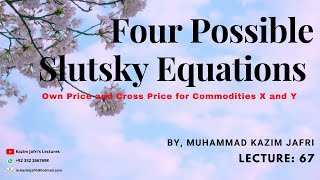 Four Possible Sultsky Equations  Own and Cross Price Slutsky in two goods case [upl. by Walburga]