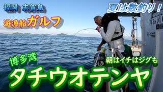 これで爆釣！【博多湾 夏タチウオ】テンヤとジグを使い分けて短時間で釣りまくる [upl. by Seebeck]