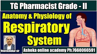 Respiratory system  Anatomy amp physiology  Pharmacist Grade2 Exam  Veera shekar sir [upl. by Nosliw]