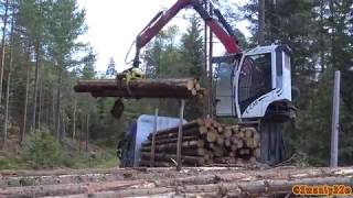 4K Volvo FH16 750 Timber Truck Loading [upl. by Moynahan804]