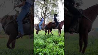 Como dice el dicho dichos comodiceeldicho rancheras ranchlife caballos vaqueros youtubeshorts [upl. by Hamlin107]