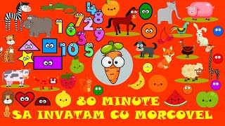 80 Minute Sa Invatam Cu Morcovel Alfabetul Numerele Culorile Fructele Animalele Zilele [upl. by Aicac839]