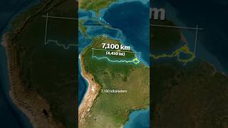 Why The Amazon River Has No Bridges 🤯 One of the Worlds Longest Rivers 🌊 [upl. by Aleemaj]