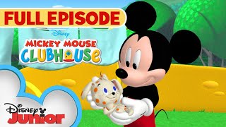 Plutos PuppySitting Adventure  S1 E14  Full Episode  Mickey Mouse Clubhouse  disneyjr ​ [upl. by Yditsahc]