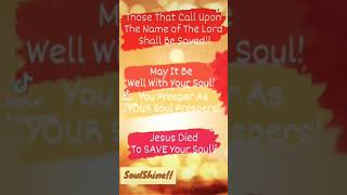 SoulShine ApostleSally [upl. by Nohsauq]