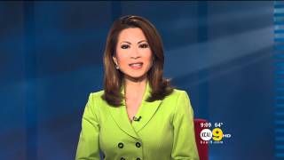 Leyna Nguyen 20110916 9PM KCAL9 HD Lime green jacket [upl. by Lennon]