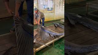 Stunning Sailfish A Beautiful Catch at the Fishing Market sailfish fishing [upl. by Sueaddaht]