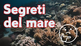 I Segreti Nascosti del Mare Creature Giganti e Misteri Incredibili [upl. by Ecnarret805]