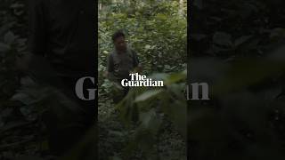 The whistled language of Northern Laos  Birdsong [upl. by Nel349]