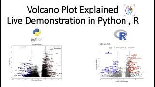 Volcano Plot Explained ​ Live Demonstration in Python  R ​ [upl. by Rimisac]