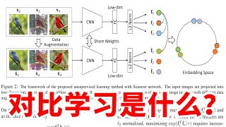 对比学习是什么？这篇文章讲的很清楚了！ [upl. by Haliehs]