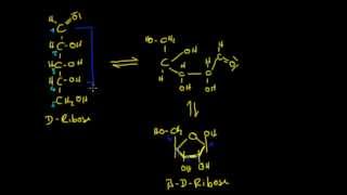 Organische Chemie  10 Kohlenhydrate 2  Ringschluss [upl. by Accalia]