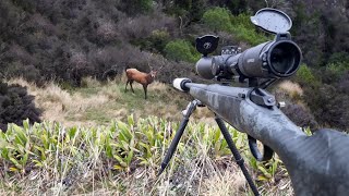 Solo 9 Day Deer Hunting in Search for the GIANT Success [upl. by Oinotnanauj]