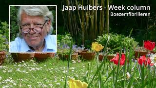 Jaap Huibers  Week column  Boezemfibrilleren en magnesiumtekort [upl. by Dloraj644]