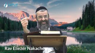 En étudiant la Torah TOUT le monde le ressent  48  LIVRE NÉFECH HAHAIM  RAV NAKACHE [upl. by Enedan]