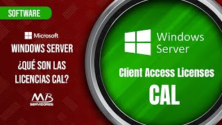 ¿Qué son las licencias Windows Server CAL [upl. by Shirline]