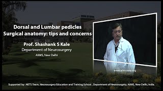 Dorsal and lumber pedicles surgical anatomy  tips and concerns [upl. by Aufmann520]